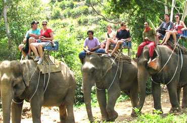 BALI HORSE RIDING AND ELEPHANT RIDE PACKAGES-0