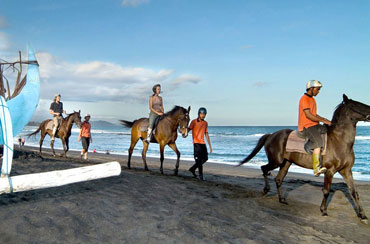 BALI HORSE RIDING AND ELEPHANT RIDE PACKAGES-0